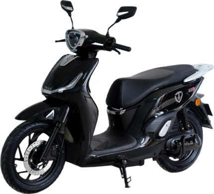 Електричний мопед Tailg 2500W